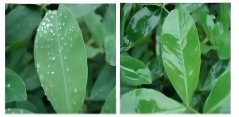 Polieter ile modifiye edilmiş heptametil hakkında konuşun trisiloksan (HC-YM9362): yapısal &ouml;zellikler, sentez s&uuml;reci ve yenilik&ccedil;i uygulamalar