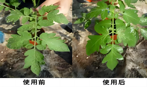 Silan dünyasında çok yönlü bir oyuncu Klorometildimetilsilil klorürün (HC-CM2123) derinlemesine analizi ve uygulama umutları