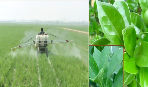 Dimetildiklorosilan (HC-CM2268): Kaliteli kimyasalların ve çeşitli uygulamaların temel taşı