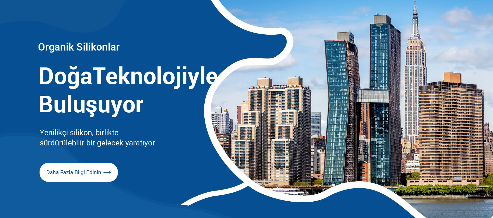 Silikon &Uuml;r&uuml;nler &Uuml;reticisi